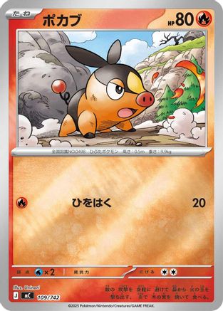 Tepig - 109/742 (Mirror Holo) (109/742) - Start Deck 100 Battle Collection Holofoil Start Deck 100 Battle Collection Pokemon Japanese Single  Squirtle Squad Card Shop.