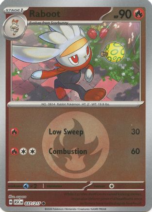 Raboot (Energy Symbol Pattern) 037  - Reverse Holofoil ME Ascended Heroes - Common ME: Ascended Heroes Pokemon Single  Squirtle Squad Card Shop.