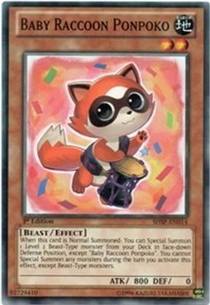 Baby Raccoon Ponpoko (SHSP-EN014) - Shadow Specters 1st Edition Shadow Specters Yugioh Single  Squirtle Squad Card Shop.