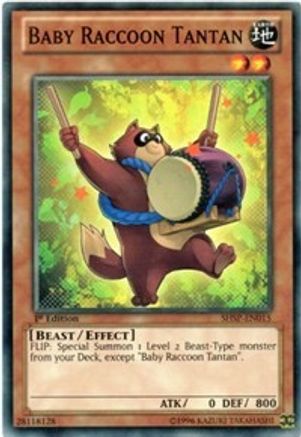 Baby Raccoon Tantan (SHSP-EN015) - Shadow Specters Unlimited Shadow Specters Yugioh Single  Squirtle Squad Card Shop.