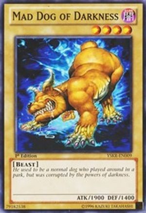 Mad Dog of Darkness (YSKR-EN009) - Starter Deck: Kaiba Reloaded 1st Edition Starter Deck: Kaiba Reloaded Yugioh Single  Squirtle Squad Card Shop.