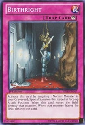 Birthright (YSKR-EN047) - Starter Deck: Kaiba Reloaded Unlimited Starter Deck: Kaiba Reloaded Yugioh Single  Squirtle Squad Card Shop.