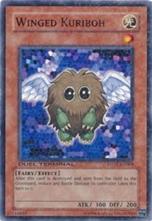 Winged Kuriboh (DTP1-EN008) - Duel Terminal - Preview Limited Duel Terminal - Preview Yugioh Single  Squirtle Squad Card Shop.