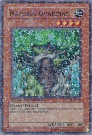Naturia Guardian (DT02-EN009) - Duel Terminal 2 Limited Duel Terminal 2 Yugioh Single  Squirtle Squad Card Shop.