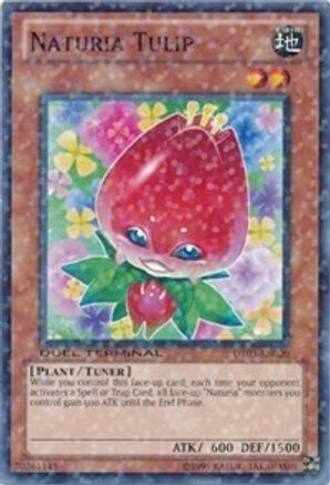 Naturia Tulip (DT03-EN020) - Duel Terminal 3 Limited Duel Terminal 3 Yugioh Single  Squirtle Squad Card Shop.