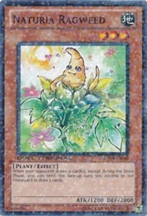 Naturia Ragweed (DT04-EN080) - Duel Terminal 4 Limited Duel Terminal 4 Yugioh Single  Squirtle Squad Card Shop.