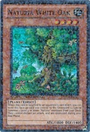 Naturia White Oak (DT04-EN081) - Duel Terminal 4 Limited Duel Terminal 4 Yugioh Single  Squirtle Squad Card Shop.