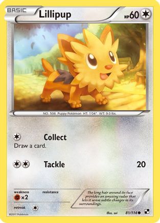 Lillipup (81)  Black and White - Common Black and White Pokemon Single  Squirtle Squad Card Shop.