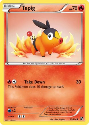 Tepig (16)  Black and White - Common Black and White Pokemon Single  Squirtle Squad Card Shop.