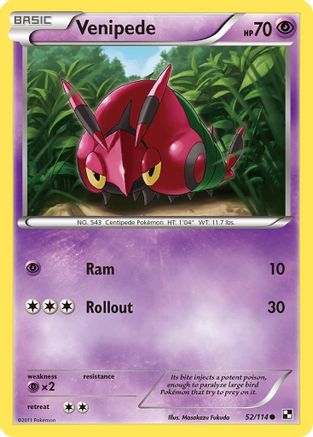 Venipede  - Reverse Holofoil Black and White - Common Black and White Pokemon Single  Squirtle Squad Card Shop.