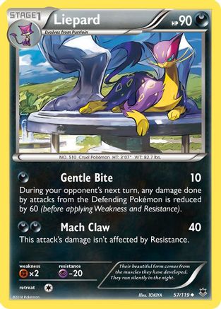Liepard  XY  Phantom Forces - Uncommon XY - Phantom Forces Pokemon Single  Squirtle Squad Card Shop.