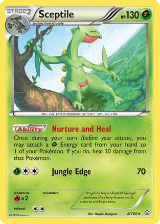 Sceptile 008  - Reverse Holofoil XY  Primal Clash - Rare XY - Primal Clash Pokemon Single  Squirtle Squad Card Shop.