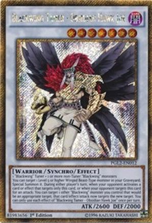 Blackwing Tamer - Obsidian Hawk Joe (PGL2-EN012) - Premium Gold: Return of the Bling 1st Edition Premium Gold: Return of the Bling Yugioh Single  Squirtle Squad Card Shop.