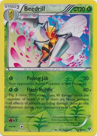 Beedrill 005/146 Reverse Holo - XY Base Set