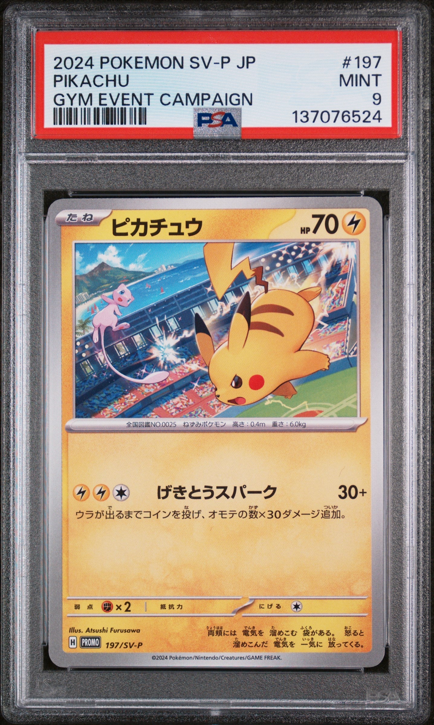 Pokémon Pikachu 197/SV-P PSA 9 Mint - 2024 Japanese Gym Event Campaign Promo Squirtle Squad Card Shop.   Squirtle Squad Card Shop.