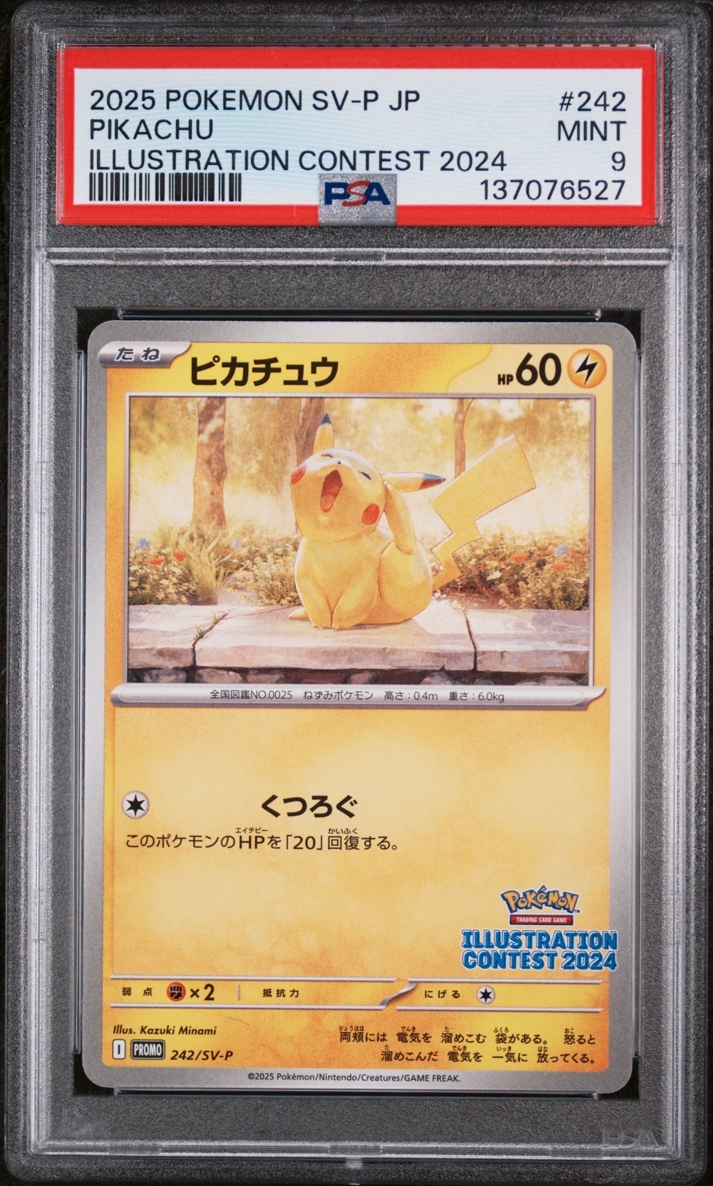 Pokémon TCG - Pikachu 242/SV-P - Japanese SV-P Promo - Illustration Contest 2024 - PSA 9 Mint Squirtle Squad Card Shop.   Squirtle Squad Card Shop.