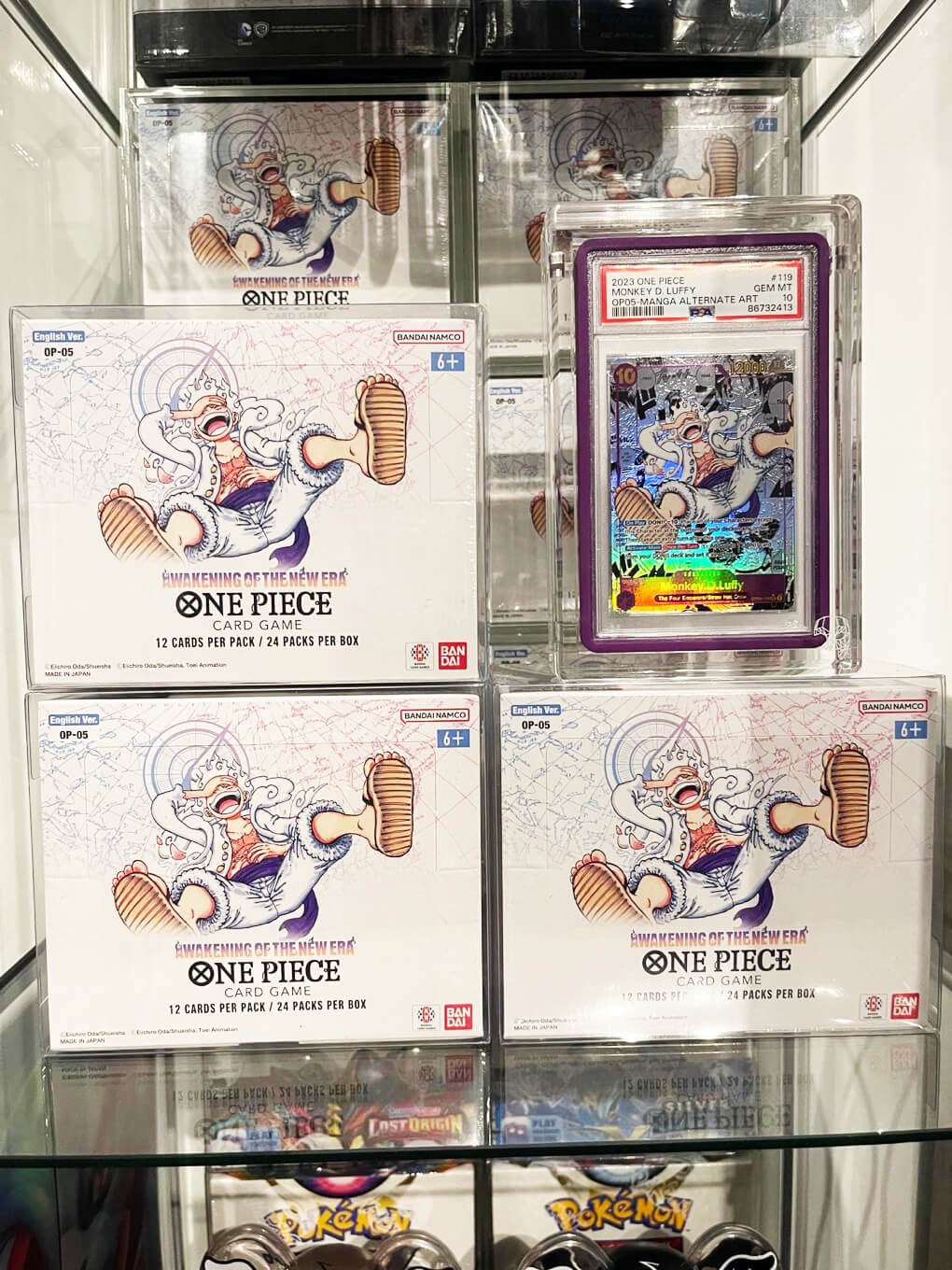 One Piece Booster Box EVORETRO PET Protectors (English, OPP 4-6, 0.40mm, 5-Pack) EVORETRO Canada   Squirtle Squad Card Shop.