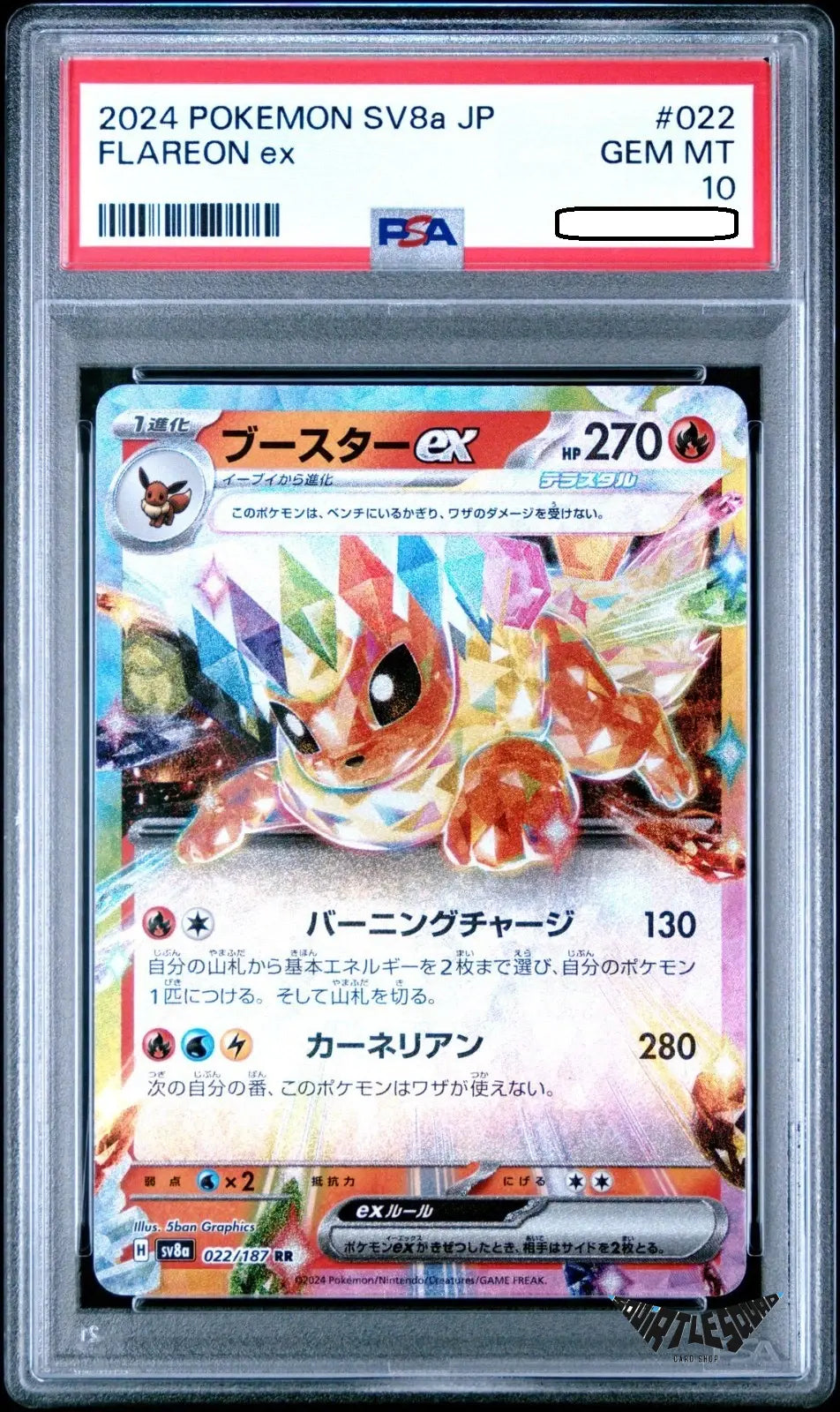 Pokémon TCG – Flareon ex 022/187 – Terastal Fest ex Japanese – PSA 10 Gem Mint