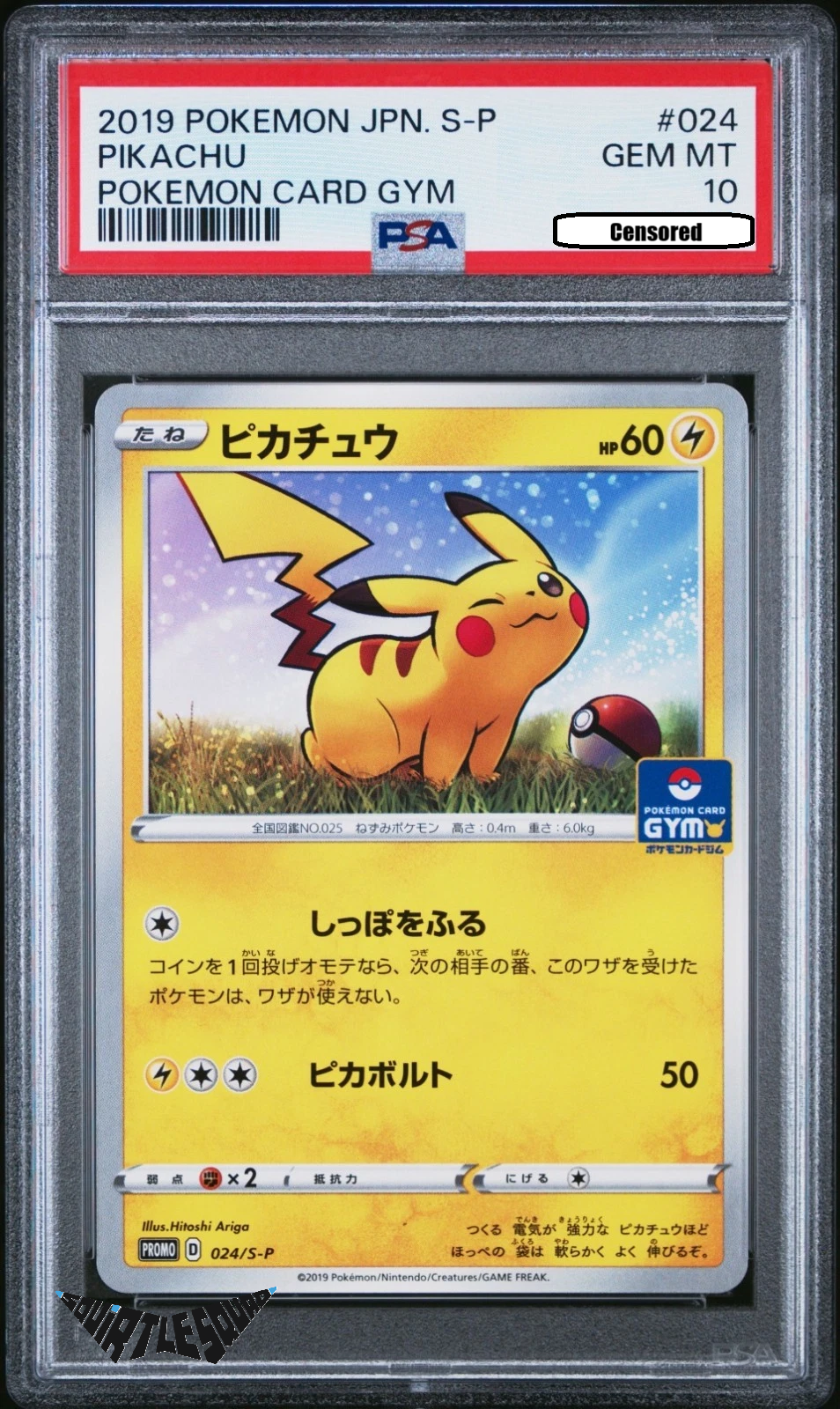 Pokémon TCG – Pikachu 024/S-P – Pokémon Card Gym Promo 2019 – PSA 10 Gem Mint (Japanese)
