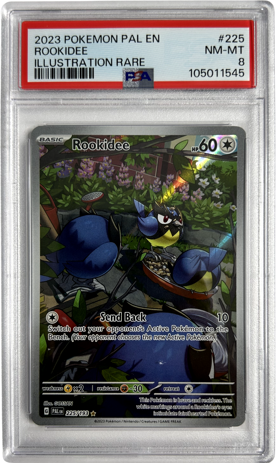 Pokemon - Paldea Evolved - Rookidee 225/193 - PSA 8