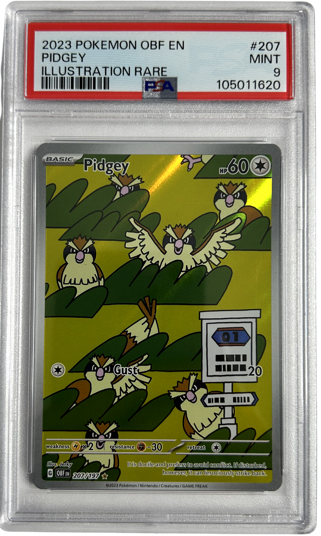 Pokemon - Obsidian Flames - Pidgey 207/197 - PSA 9