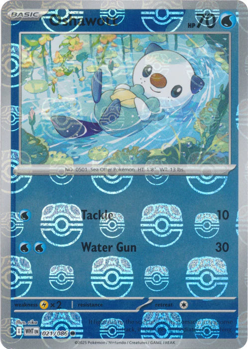 Oshawott (Master Ball Pattern) 021  - Holofoil SV White Flare - Common SV: White Flare Pokemon Single  Squirtle Squad Card Shop.