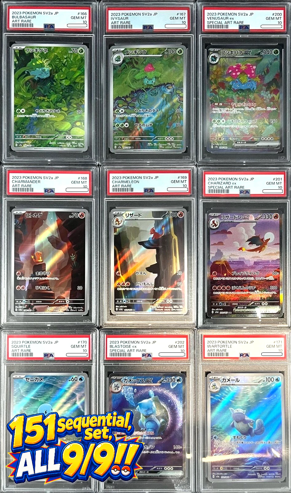 Pokémon TCG – Japanese Pokémon 151 PSA 10 set – Starter Evolution Sequential PSA 10 Set Squirtle Squad Card Shop.   Squirtle Squad Card Shop.
