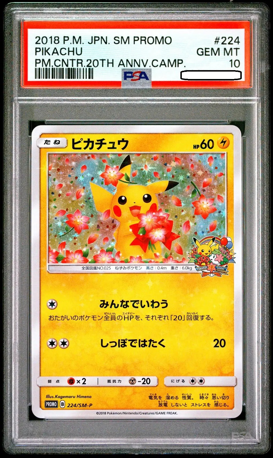 Pokémon - Pikachu Pokémon Center 20th Anniversary Campaign Promo 224/SM-P Japanese - PSA 10 Gem Mint